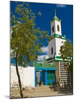 Colourful Mosque in a Little Village in the Republic of Djibouti, Africa-null-Mounted Photographic Print