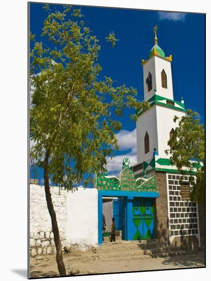 Colourful Mosque in a Little Village in the Republic of Djibouti, Africa-null-Mounted Photographic Print