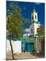 Colourful Mosque in a Little Village in the Republic of Djibouti, Africa-null-Mounted Photographic Print