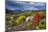 Colourful Moss on an Island in the Beagle Channel-Michael Runkel-Mounted Photographic Print