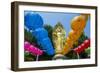 Colourful Paper Lanterns in Front of a Golden Buddha in the Fortress of Suwon-Michael-Framed Photographic Print