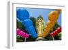 Colourful Paper Lanterns in Front of a Golden Buddha in the Fortress of Suwon-Michael-Framed Photographic Print