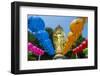 Colourful Paper Lanterns in Front of a Golden Buddha in the Fortress of Suwon-Michael-Framed Photographic Print