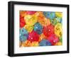 Colourful paper shades-null-Framed Photographic Print