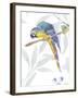 Colourful Parrot-Sandra Jacobs-Framed Giclee Print