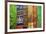 Colourful pashmina scarves, New Delhi, India, Asia-Matthew Williams-Ellis-Framed Photographic Print