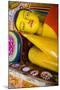 Colourful Reclining Buddha Statue at Isurumuniya Vihara-Matthew Williams-Ellis-Mounted Photographic Print