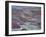 Colourful Rolling Hills at the Border of Azerbaijan, David Gareji Nature Reserve, Georgia, May 2008-Popp-Framed Photographic Print