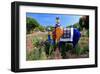 Colourful Sculpture of an Elephant in Maximilianpark, Hamm, North Rhine-Westphalia, Germany-null-Framed Art Print