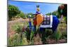 Colourful Sculpture of an Elephant in Maximilianpark, Hamm, North Rhine-Westphalia, Germany-null-Mounted Art Print