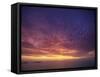 Colourful Skies at Dusk, over Seascape, New Zealand, Pacific-Jeremy Bright-Framed Stretched Canvas