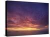 Colourful Skies at Dusk, over Seascape, New Zealand, Pacific-Jeremy Bright-Stretched Canvas