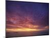 Colourful Skies at Dusk, over Seascape, New Zealand, Pacific-Jeremy Bright-Mounted Photographic Print
