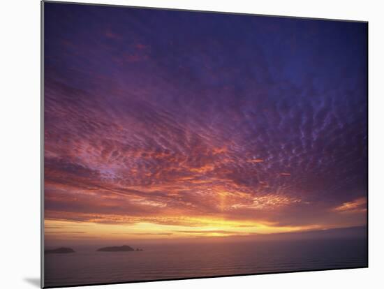 Colourful Skies at Dusk, over Seascape, New Zealand, Pacific-Jeremy Bright-Mounted Photographic Print