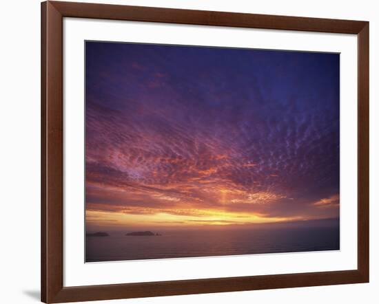 Colourful Skies at Dusk, over Seascape, New Zealand, Pacific-Jeremy Bright-Framed Photographic Print