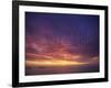 Colourful Skies at Dusk, over Seascape, New Zealand, Pacific-Jeremy Bright-Framed Photographic Print