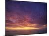 Colourful Skies at Dusk, over Seascape, New Zealand, Pacific-Jeremy Bright-Mounted Photographic Print