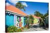 Colourful souvenir shops in Roadtown, Tortola, British Virgin Islands, West Indies, Caribbean, Cent-Michael Runkel-Stretched Canvas