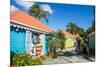 Colourful souvenir shops in Roadtown, Tortola, British Virgin Islands, West Indies, Caribbean, Cent-Michael Runkel-Mounted Photographic Print