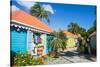 Colourful souvenir shops in Roadtown, Tortola, British Virgin Islands, West Indies, Caribbean, Cent-Michael Runkel-Stretched Canvas