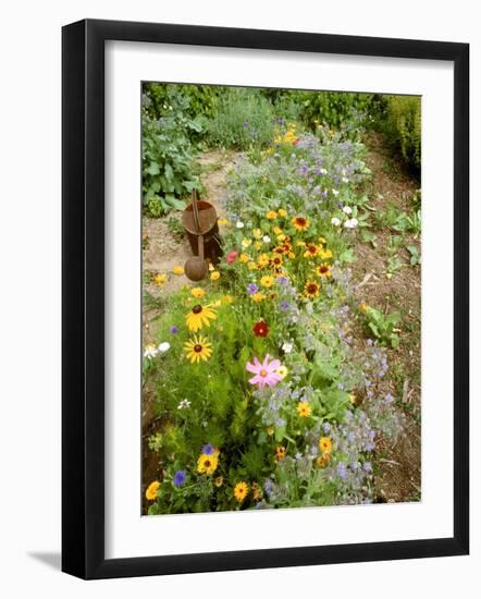 Colourful Summer Flowers in Garden-Ottmar Diez-Framed Photographic Print