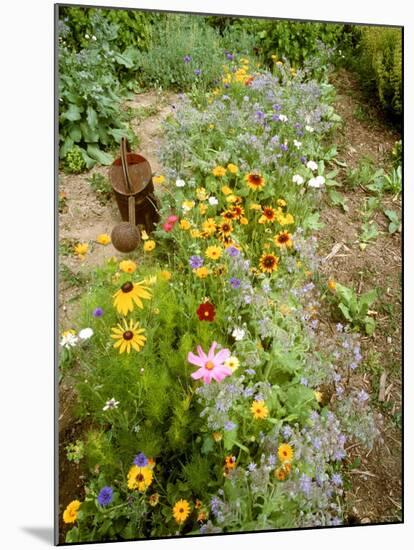 Colourful Summer Flowers in Garden-Ottmar Diez-Mounted Photographic Print