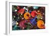 Colourful Tajines, Essaouira, Atlantic Coast, Morocco, North Africa, Africa-Stuart Black-Framed Photographic Print