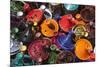 Colourful Tajines, Essaouira, Atlantic Coast, Morocco, North Africa, Africa-Stuart Black-Mounted Photographic Print