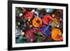 Colourful Tajines, Essaouira, Atlantic Coast, Morocco, North Africa, Africa-Stuart Black-Framed Photographic Print