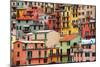 Colourful Texture of Manarola City of Cinque Terre - Italy.-Blaz Kure-Mounted Photographic Print