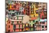 Colourful Texture of Manarola City of Cinque Terre - Italy.-Blaz Kure-Mounted Photographic Print