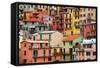 Colourful Texture Of Manarola City Of Cinque Terre - Italy-Blaz Kure-Framed Stretched Canvas