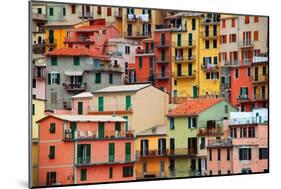 Colourful Texture Of Manarola City Of Cinque Terre - Italy-Blaz Kure-Mounted Premium Giclee Print