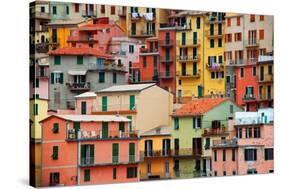 Colourful Texture Of Manarola City Of Cinque Terre - Italy-Blaz Kure-Stretched Canvas