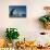 Colourful Wooden House in the Village of Qaanaaq-Louise Murray-Mounted Photographic Print displayed on a wall