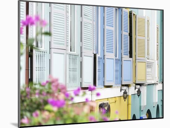 Colourful Wooden Window Shutters in the Boat Quay Area of Singapore, Southeast Asia, Asia-John Woodworth-Mounted Photographic Print