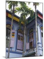 Colourfully Painted Building in Little India, Singapore, Southeast Asia-Amanda Hall-Mounted Photographic Print