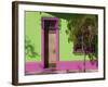 Colourfully Painted Housefronts in the Trendy District of Barrio Bellavista, Santiago, Chile-Gavin Hellier-Framed Photographic Print