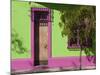 Colourfully Painted Housefronts in the Trendy District of Barrio Bellavista, Santiago, Chile-Gavin Hellier-Mounted Photographic Print