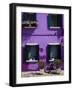 Colourfully Painted Houses Situated on Canal Banks on the Island of Burano, Located Near Venice, Ve-Kimberley Coole-Framed Photographic Print