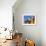 Colourfully Painted Victorian Bathing Huts in False Bay, Cape Town, South Africa, Africa-Yadid Levy-Framed Photographic Print displayed on a wall