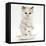 Colourpoint Kitten in a Tea Cup-Mark Taylor-Framed Stretched Canvas