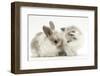Colourpoint Kitten with Baby Rabbit-Mark Taylor-Framed Photographic Print
