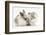 Colourpoint Kitten with Baby Rabbit-Mark Taylor-Framed Photographic Print