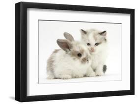 Colourpoint Kitten with Baby Rabbit-Mark Taylor-Framed Photographic Print