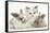 Colourpoint Kitten with Two Baby Rabbits-Mark Taylor-Framed Stretched Canvas