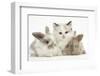 Colourpoint Kitten with Two Baby Rabbits-Mark Taylor-Framed Photographic Print