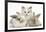 Colourpoint Kitten with Two Baby Rabbits-Mark Taylor-Framed Photographic Print