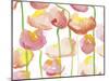 Colours In Bloom-Sarah Von Dreele-Mounted Giclee Print