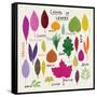Colours of Leaves-Jenny Frean-Framed Stretched Canvas